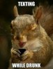 8 - squirrel drunk-texts-chipmunks.jpg