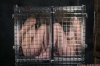 bdsmlr-739525-ve6bIYhLM9-og.jpg bdsmlr-739525-ve6bIYhLM9-og.jpg