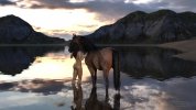 horse_whisperer_by_ardalos_ddt2rbu-fullview.jpg