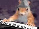 Jazz squirrel.gif