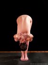 standing-tadasana-25.jpg