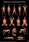submissive_pose_chart___lucinda_by_lexlucas_dab8f0s-fullview.jpg