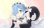 rem8.jpg