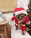 Funny-Christmas-GIF-1.gif