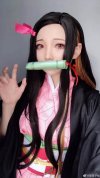 nezuko0.jpg