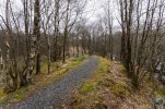 18-04 Forest trail.jpg 18-04 Forest trail.jpg