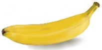 img_0658_banane.jpg