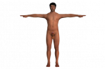128_male_character_with_penis_3d_model_c4d_max_obj_fbx_ma_lwo_3ds_3dm_stl_3456847_o-removebg-p...png