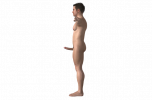 124_male_character_with_penis_3d_model_c4d_max_obj_fbx_ma_lwo_3ds_3dm_stl_3455652_o-removebg-p...png