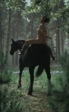 Equestrian_3.jpg