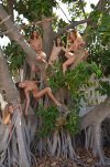 tree_girls_by_rasmus_art_dbii4he-fullview.jpg