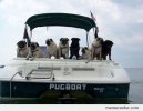 Pug-boat_o_93029.jpg