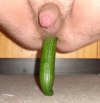 cucumber2.jpg