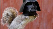 squirrelvader2.jpg