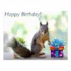 squirrel_happy_birthday_postcard-r2b48f4f708d54b688264ac6dc5049048_vgbaq_8byvr_540.jpg