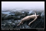 organic_sea_nymph_by_ozphotoguy_da6n8y.jpg