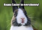 Happy-Easter-Funny.jpg