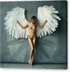 1-white-angel-gene-oryx-canvas-print.jpg